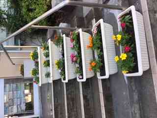 IMG_0107